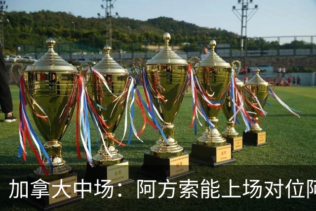 加拿大中场：阿方索能上场对位阿什拉夫就好了；错失机会很可惜